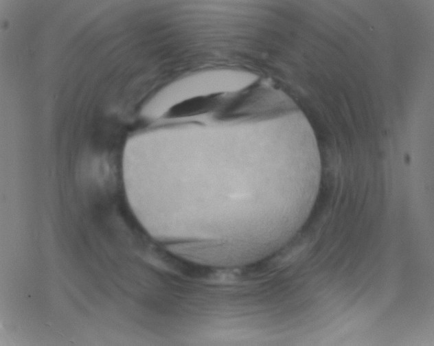 X0000076220080200611012114