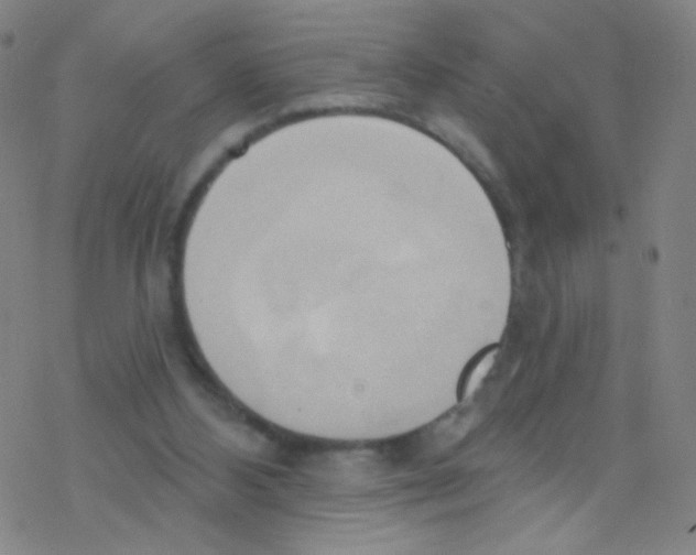 X0000076220108200611012113