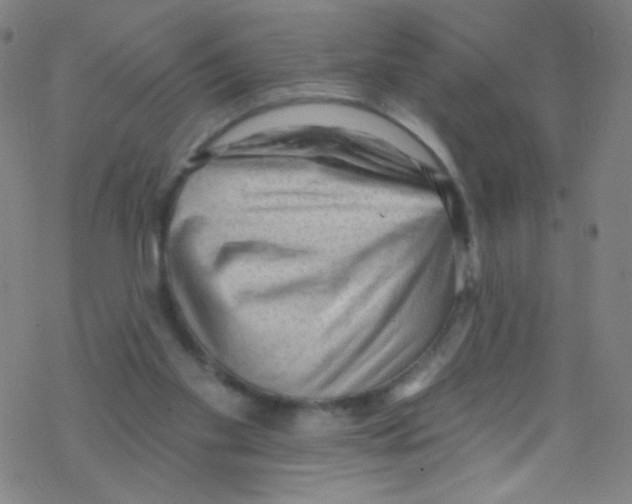 X0000076220109200611012113
