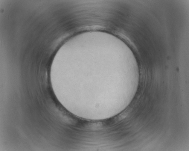 X0000076220110200611012113