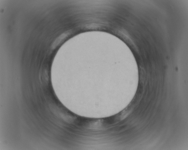 X0000076220116200611012113