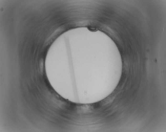 X0000076220118200611012113