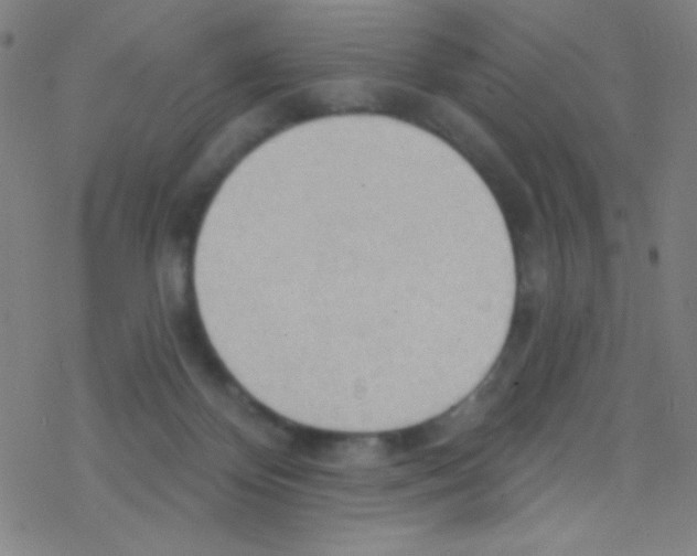 X0000076220124200611012113