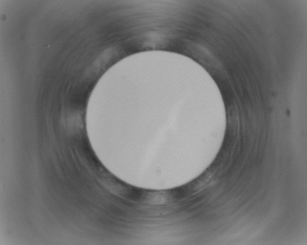 X0000076220127200611012113