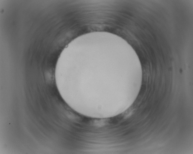 X0000076220134200611012113