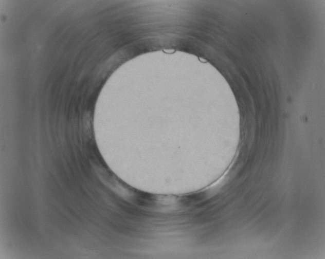 X0000076220144200611012113