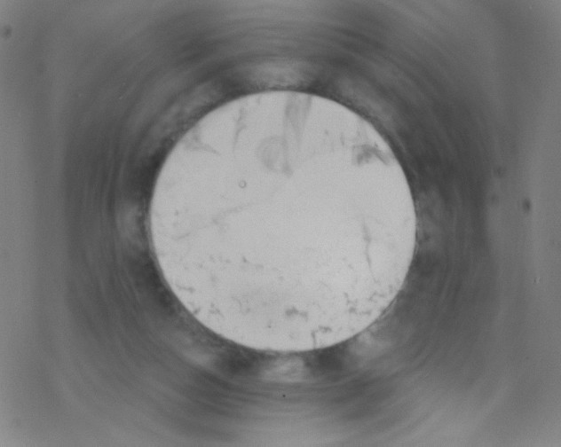 X0000076220162200611012112