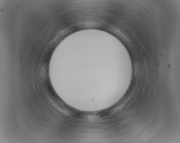 X0000076220165200611012112