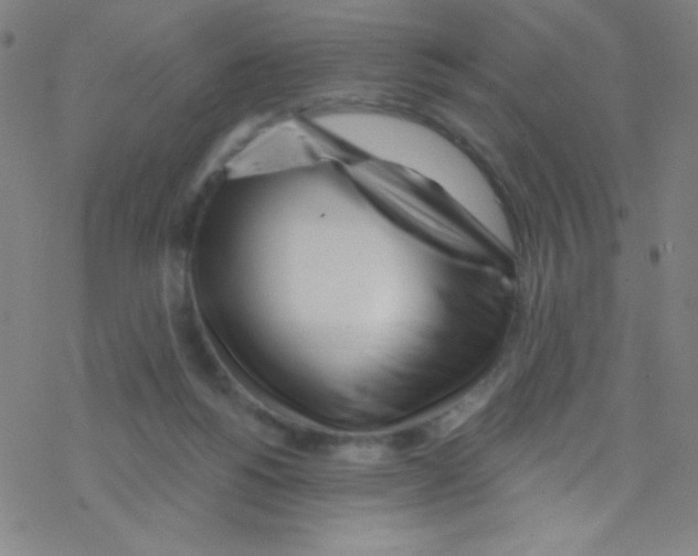 X0000076220168200611012112