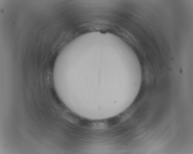 X0000076220169200611012112