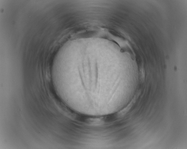 X0000076220170200611012112