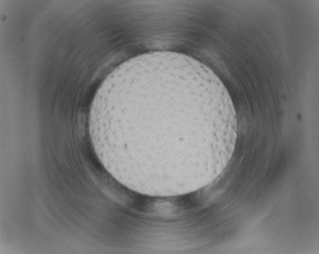 X0000076220171200611012112
