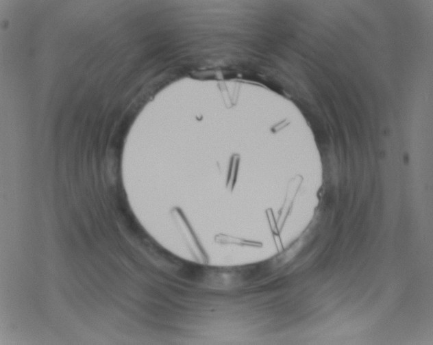 X0000076220174200611012112