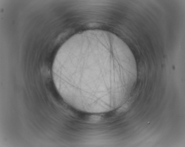 X0000076220176200611012113