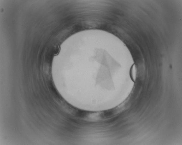 X0000076220178200611012113