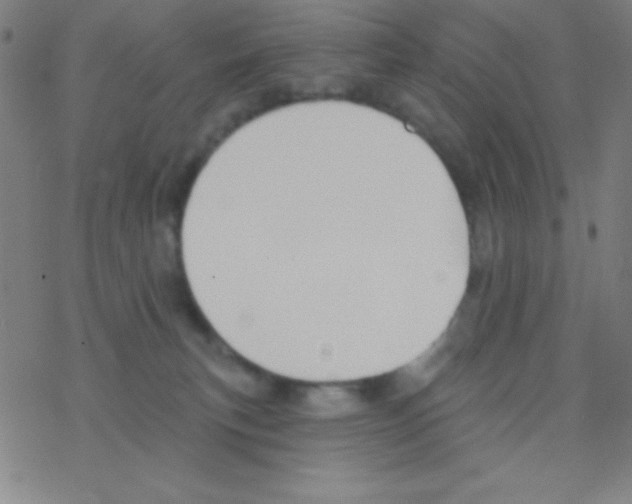X0000076220183200611012113