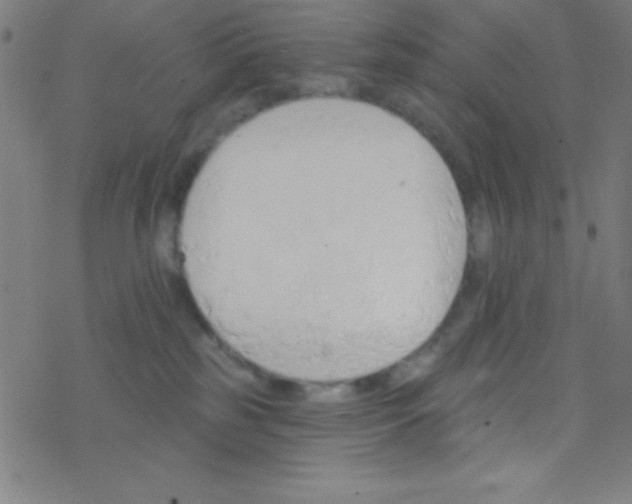 X0000076220185200611012113