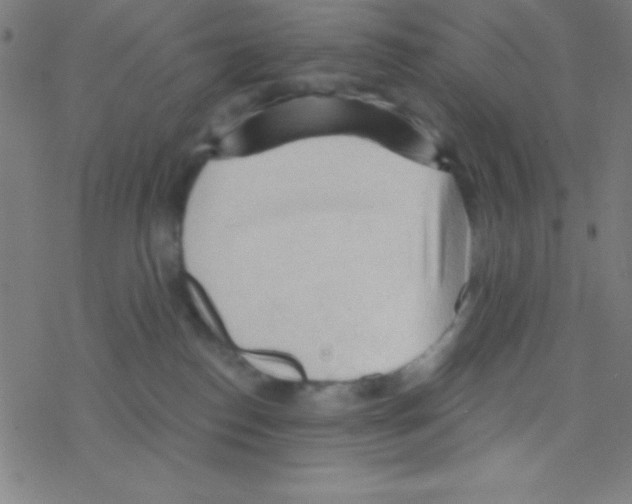 X0000076220186200611012113