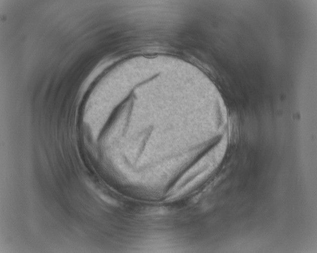 X0000076220195200611012112