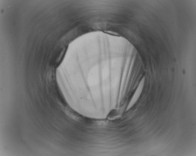 X0000076220233200611012111