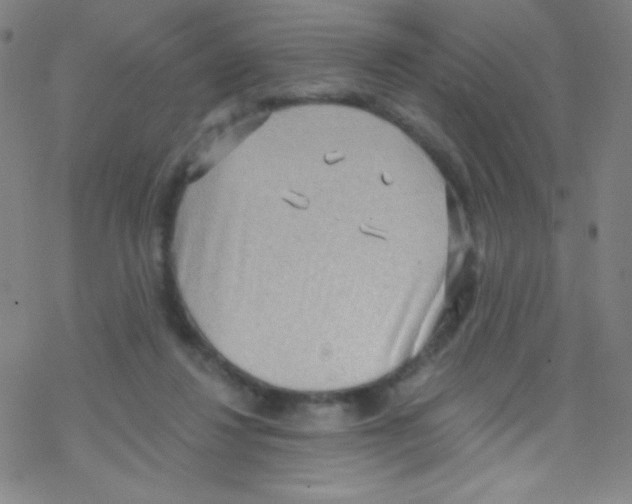 X0000076220260200611012111