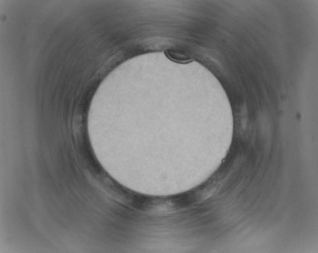 X0000076220263200611012111