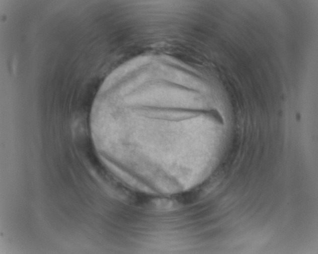 X0000076220272200611012111