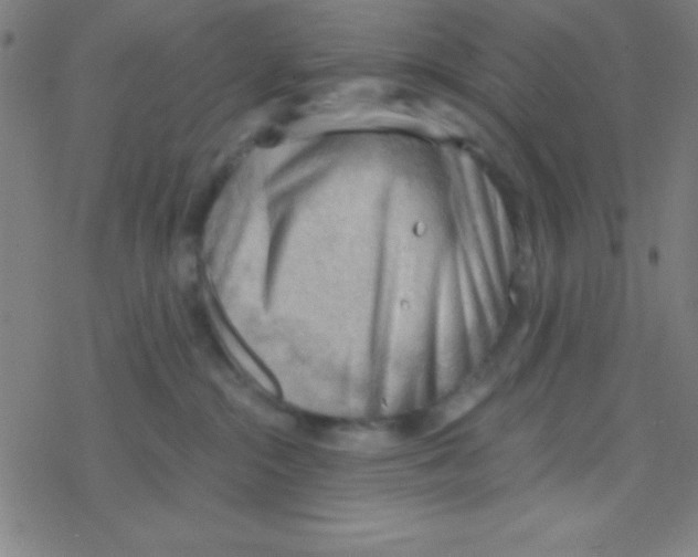 X0000076220284200611012111