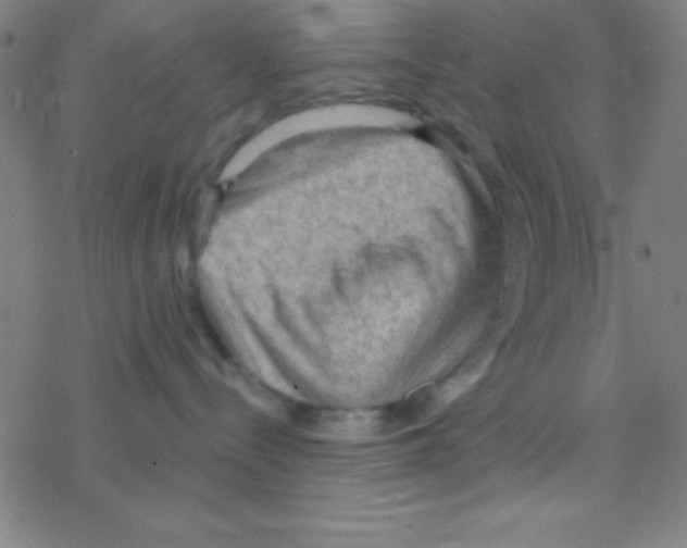 X0000076220288200611012111