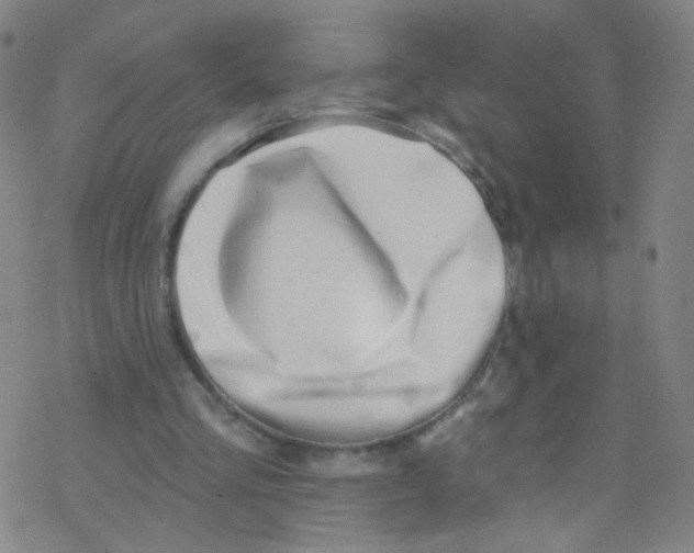 X0000076220293200611012110