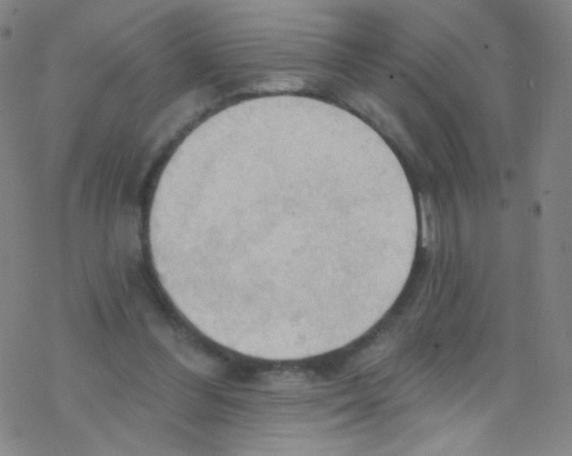 X0000076220300200611012110