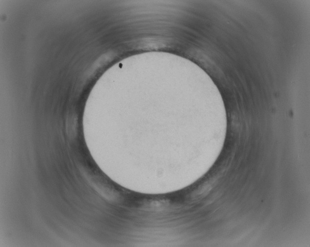 X0000076220304200611012110