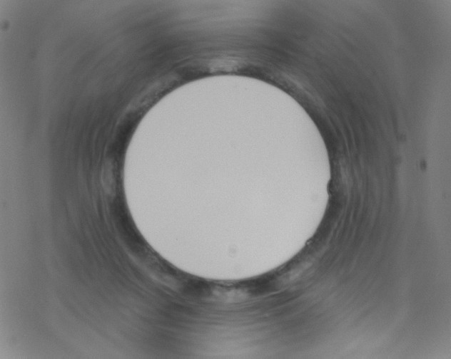 X0000076220311200611012110