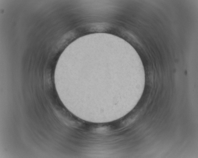 X0000076220312200611012110