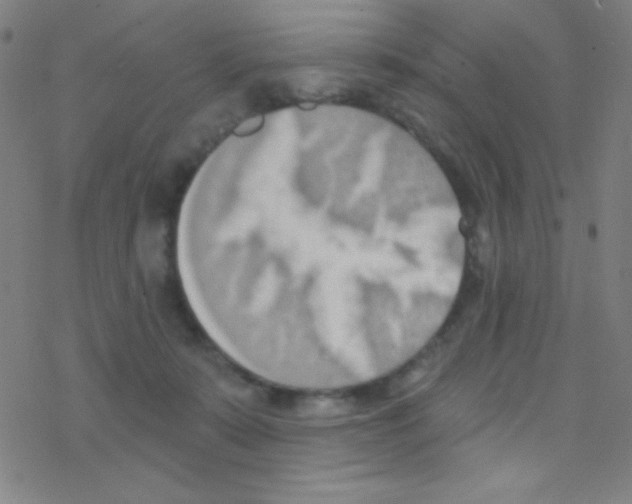 X0000076220319200611012110