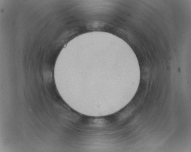X0000076220324200611012110