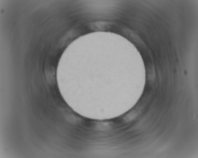 X0000076220332200611012110