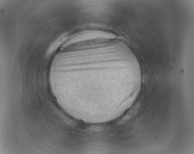 X0000076220341200611012109