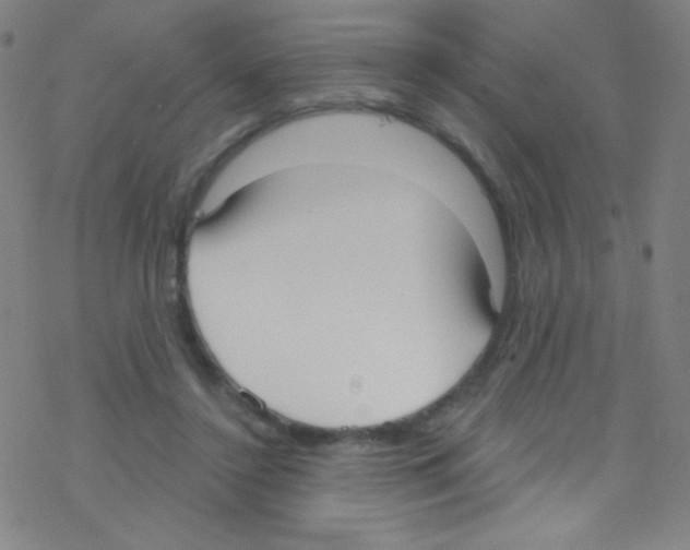 X0000076220356200611012109