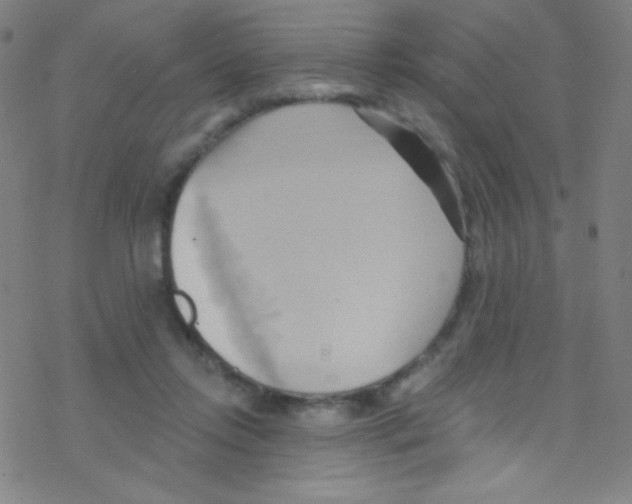 X0000076220358200611012109