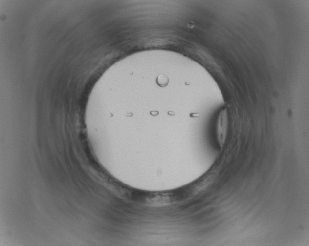 X0000076220362200611012109