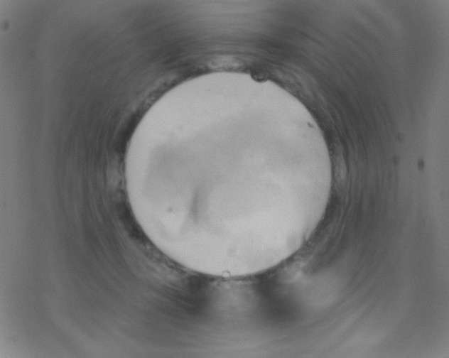 X0000076220367200611012109