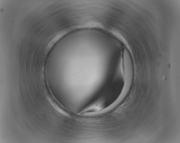 X0000076220389200611012109