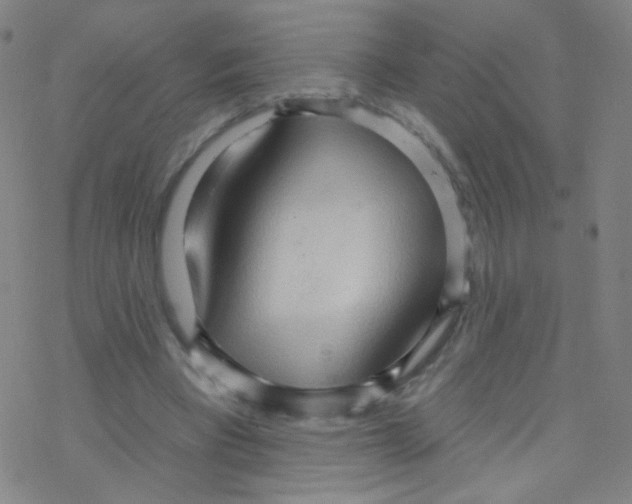 X0000076220393200611012109