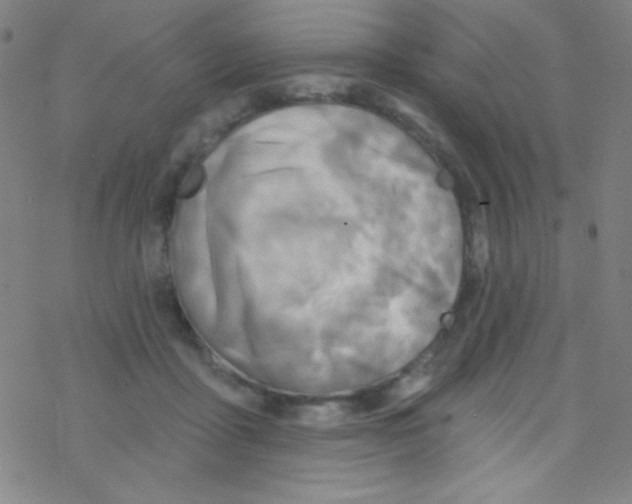 X0000076220411200611012108