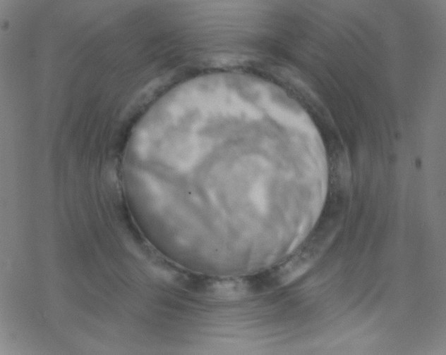 X0000076220415200611012108