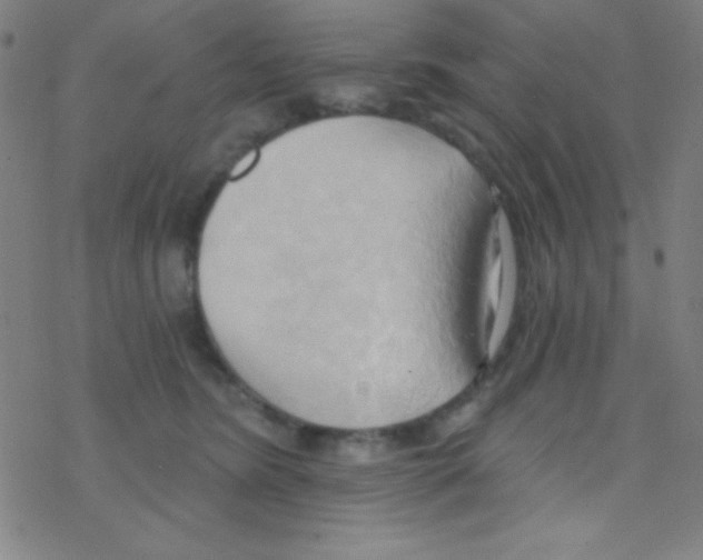 X0000076220420200611012108