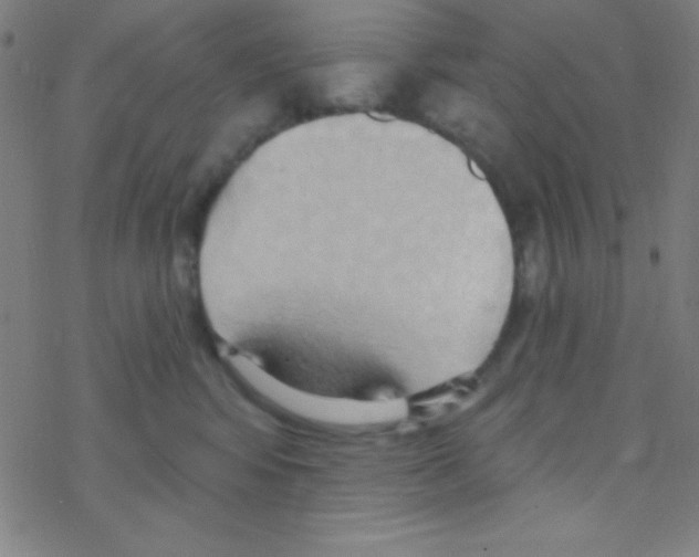 X0000076220424200611012108