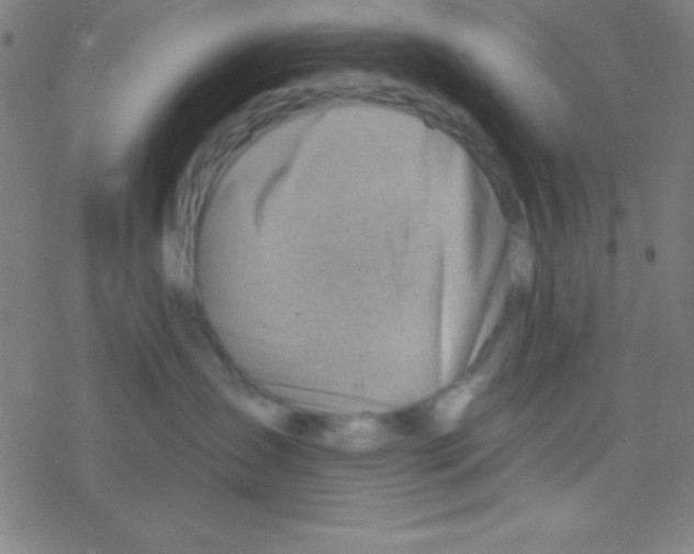 X0000076220431200611012108