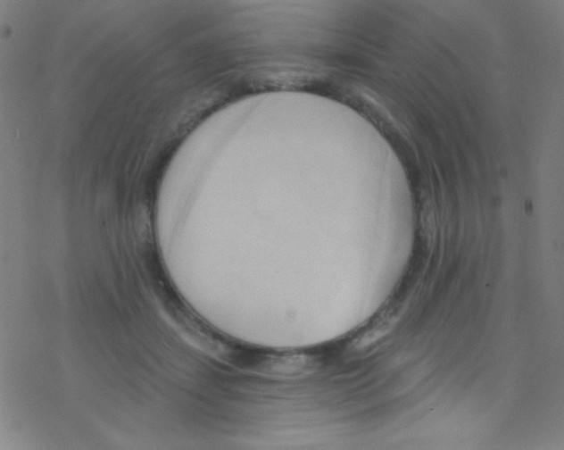 X0000076220459200611012108